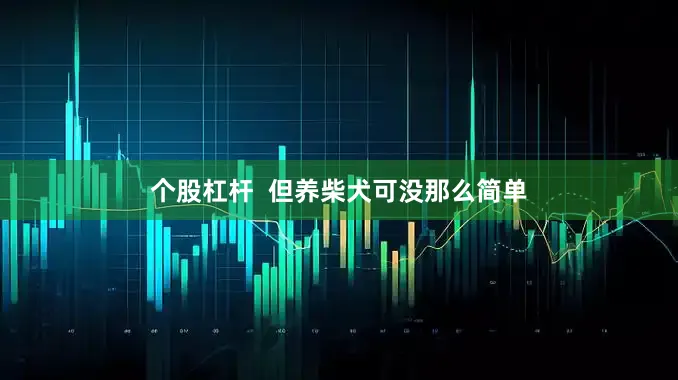 个股杠杆  但养柴犬可没那么简单