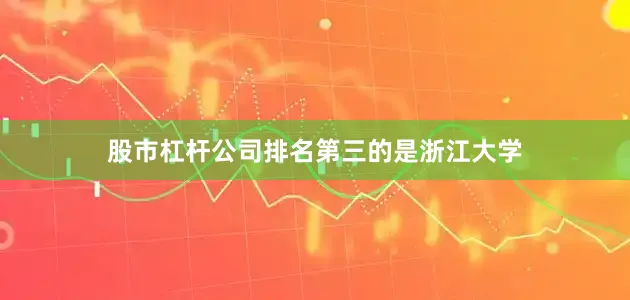 股市杠杆公司排名第三的是浙江大学