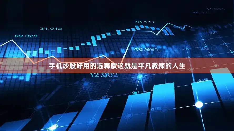 手机炒股好用的选哪款这就是平凡微辣的人生