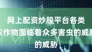 网上配资炒股平台各类农作物面临着众多害虫的威胁