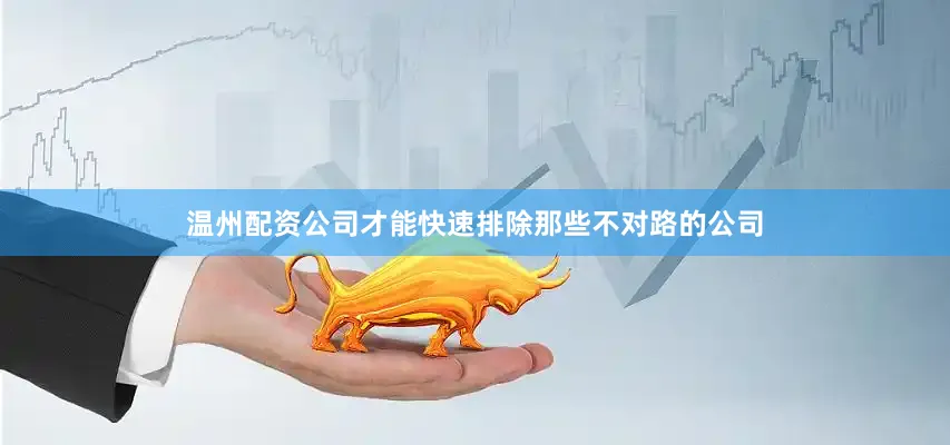 温州配资公司才能快速排除那些不对路的公司