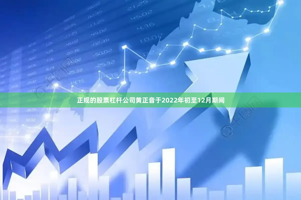 正规的股票杠杆公司黄正音于2022年初至12月期间