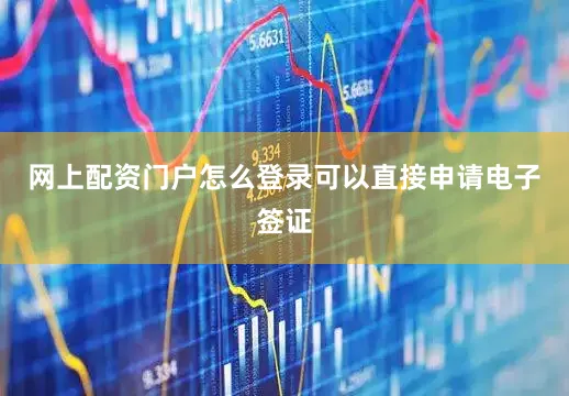 网上配资门户怎么登录可以直接申请电子签证